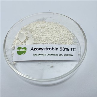 CAS 131860-33-8 Fungicidy Azoxystrobin 98% Tc