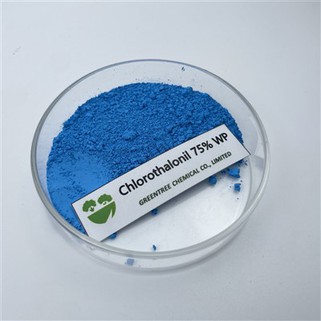 Č. CAS 1897-45-6 Chlorothalonil 75% Wp Fungicidy C8Cl4N2