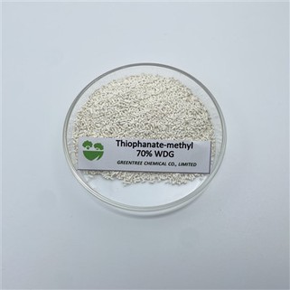 Thiophanate-methyl 70% Wdg Agrochemicals Baktericid Fungicid